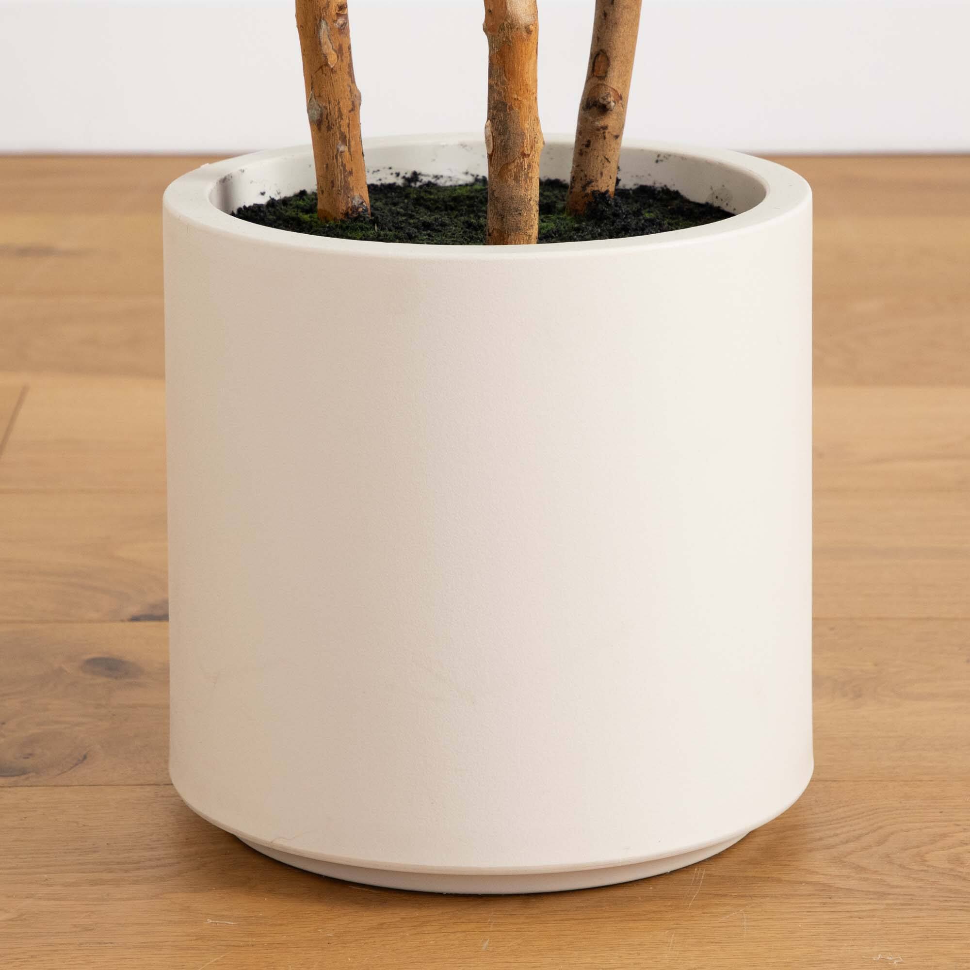 5ft. Fiddle Leaf Tree in Decorative White Planter